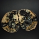 Ammonite Fossil Pair