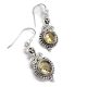 Citrine Earrings