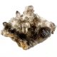 Smoky Quartz Cluster